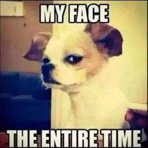 Meet your Posher, Kelton